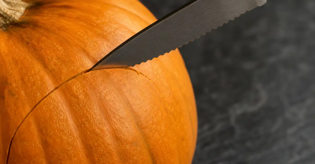 Close-up of a serrated paring knife cutting a curved line into pumpkin shell